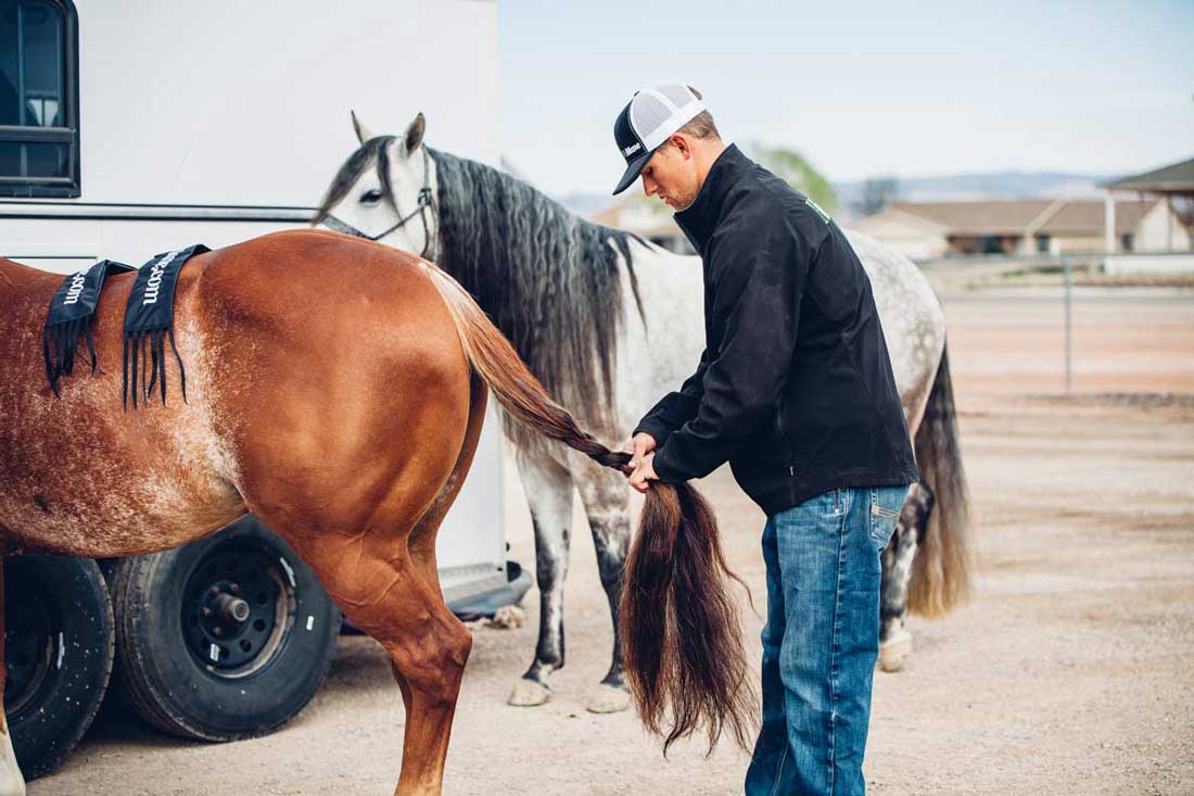 Horse Tail Braids: A Beautiful and Practical Art Form