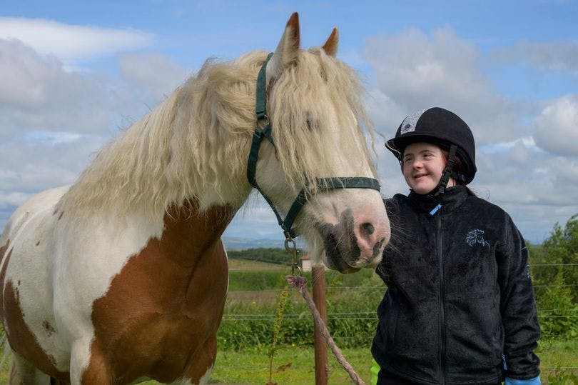 Down Syndrome Horse: A Life-Changing Connection