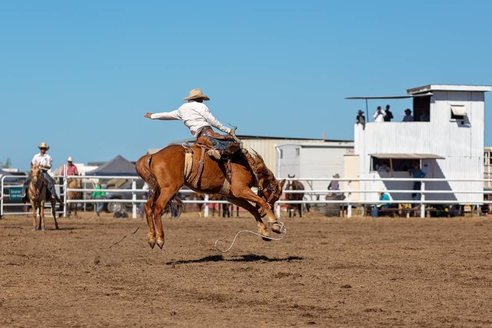 Why Do Cowboys Wear Chaps?